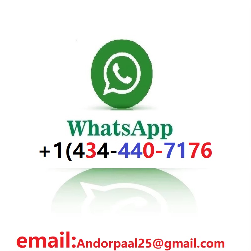 Game One - Kartu Grafis AMD Ra - Rx 9070 Xt ulasan dan harga